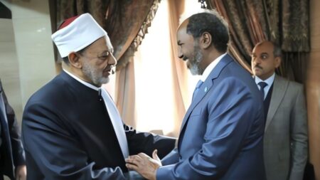 وزير خارجية الصومال وشيخ الأزهر الشريف أحمد الطيب