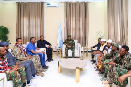 الرئيس الصومالي يجتمع بوجهاء شبيلي الوسطى لتعزيز التعاون في مكافحة الإرهاب