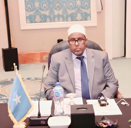 مشاركة السفير الصومالي في اجتماع عربي طارئ بالقاهرة لبحث أوضاع غزة مشاركة السفير الصومالي في اجتماع عربي طارئ بالقاهرة لبحث أوضاع غزة