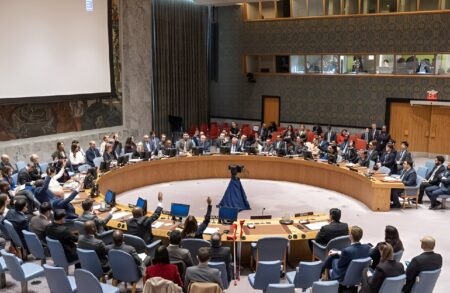 الجزائر والصومال تدعوان مجلس الأمن لجلسة طارئة بشأن الاعتداءات الإسرائيلية على سوريا