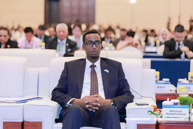الاستثمار بين الصومال ومصر