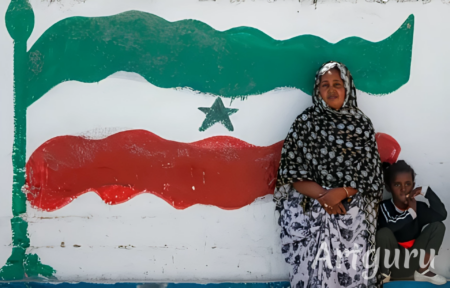 "أرض الصومال" تسعى لإبرام صفقة استراتيجية مع ترامب مقابل الاعتراف الرسمي