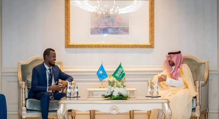 اتفاقية العمل بين الصومال والسعودية
