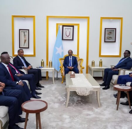 صورة مُعدّة ليست وحدة صومالية