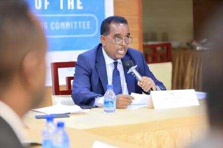 الاجتماع السنوي للجنة التوجيهية للإحصاءات والأحوال المدنية في الصومال الاجتماع السنوي للجنة التوجيهية للإحصاءات والأحوال