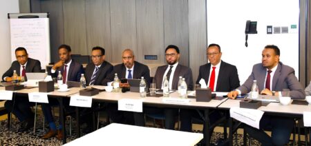 تنمية الاقتصاد الصومالي