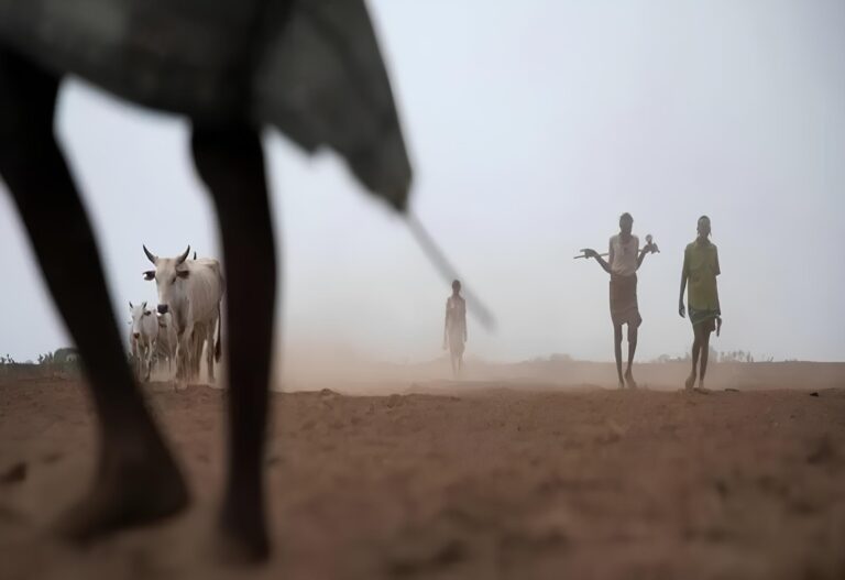 استخدام الغذاء كسلاح في الصومال