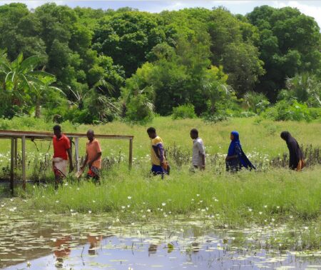 برنامج الأغذية العالمي في الصومال
