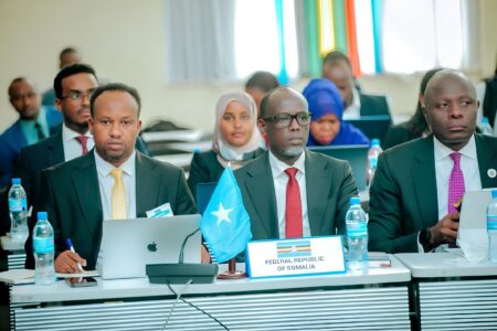 وزير الصناعة الصومالي