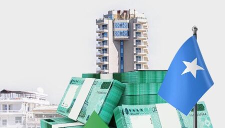 اقتصاد الصومال 2025: ثروات طبيعية كامنة وتحديات تنموية قائمة