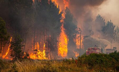 مدريد تحترق.. الدخان يسيطر على سماء العاصمة الإسبانية | بالفيديو مدريد تحترق.. الدخان يسيطر على سماء العاصمة الإسبانية | بالفيديو
