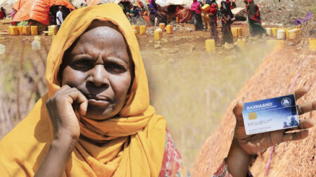 التحول الرقمي في الصومال: من دولة هشة إلى نموذج عالمي للاقتصاد بدون نقد