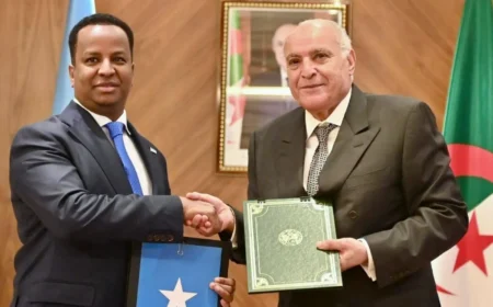 التعاون الاقتصادي بين الجزائر والصومال 2025: شراكة استراتيجية لتعزيز التنمية والاستقرار