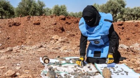 إزالة الألغام الأرضية في الصومال2025: خطوة لإحياء زراعة شجرة اللبان