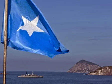 الصوماليون المغتربون: المحرك غير المستغل للتنمية الوطنية