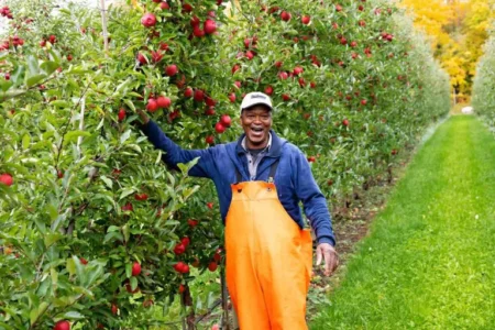 التوظيف الأخضر للشباب: مبادرة رائدة تدعم آلاف الشباب في إثيوبيا ورواندا والصومال في 2025 التوظيف الأخضر للشباب: مبادرة رائدة تدعم آلاف الشباب في إثيوبيا ورواندا والصومال 2025