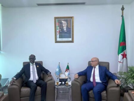 التعاون الاقتصادي بين الصومال والجزائر في 2025.. من التضامن التاريخي إلى شراكات المستقبل