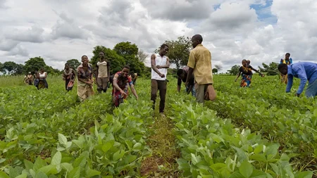 الصومال يزرع مستقبله: الزراعة كبديل للهجرة غير الشرعية