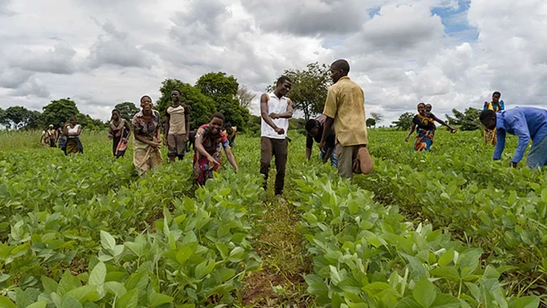 الصومال يزرع مستقبله: الزراعة كبديل للهجرة غير الشرعية