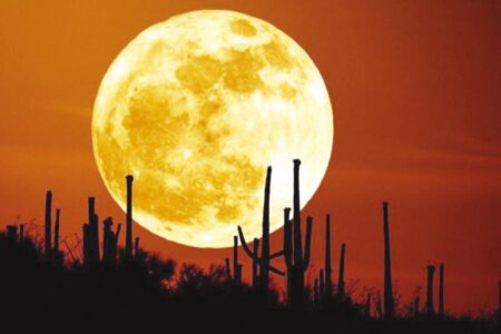 قمر الحصاد 2025: أول قمر عملاق يضيء سماء أكتوبر