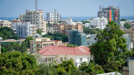 أزمة البطالة في الصومال: 7 نتائج خطيرة لاستقدام العمالة الأجنبية في قطاع البناء