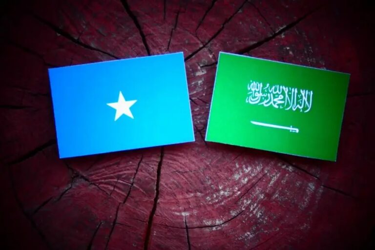 التعاون الاقتصادي بين الصومال والسعودية .. شراكة جديدة في 2025