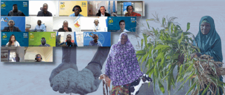 6 نتائج مذهلة لـتطوير سلسلة قيمة الأعلاف في الصومال