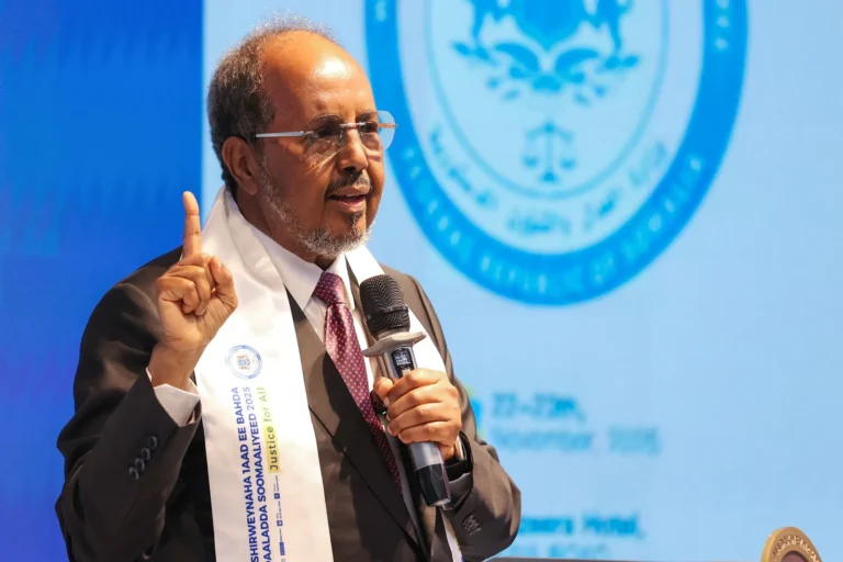 معالجة تحديات الصومال.. حسن شيخ يدعو إلى هذه السياسات