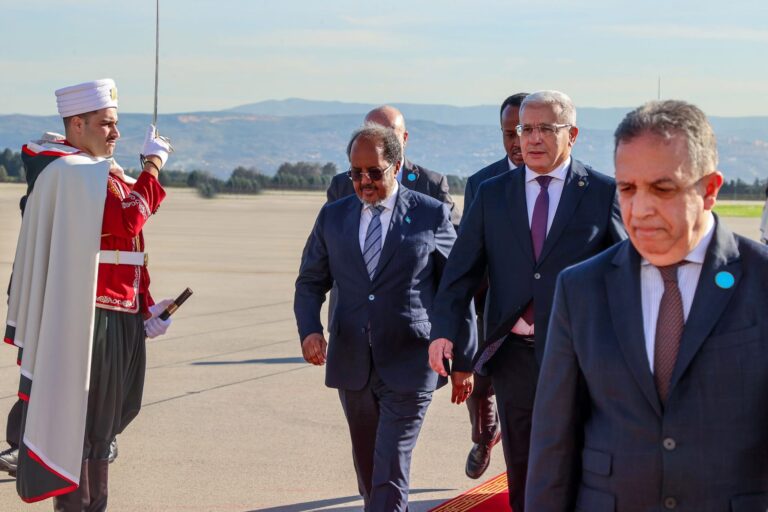 3 خطوات جديدة في طريق التعاون الاقتصادي بين الصومال والجزائر