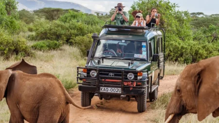 السياحة في القرن الأفريقي.. 4 دول ستغير فكرتك عن القارة السمراء السياحة في القرن الأفريقي