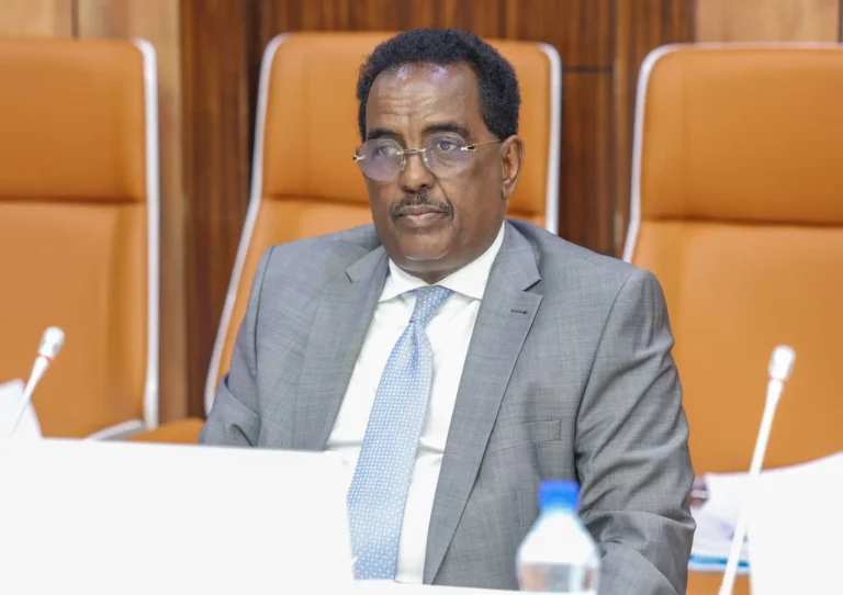 الحكومة الصومالية تنتقد قمة كيسمايو باعتبارها عرقلة الحكومة الصومالية تنتقد قمة كيسمايو باعتبارها عرقلة