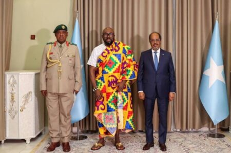 الرئيس الصومالي يستقبل ثمانية سفراء جدد