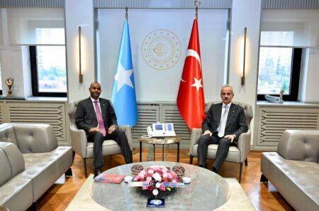 مباحثات صومالية تركية لتطوير الموانئ وتعزيز الشراكة البحرية