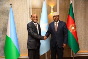 الصومال وجيبوتي تعززان التعاون الدفاعي خلال اجتماع وزاري في مقديشو الصومال وجيبوتي تعززان التعاون الدفاعي