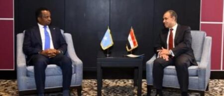 لقاء صومالي مصري يعزز الشراكة الاستراتيجية ويعمق التعاون الإقليمي لقاء صومالي مصري يعزز الشراكة الاستراتيجية