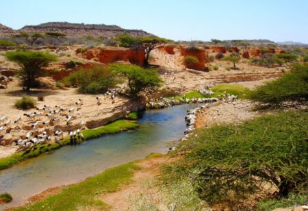 لاسعانود توحد الصف الوطني الصومالي