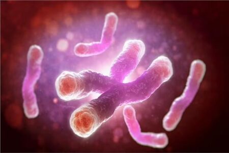 خطة شيلد لإبطاء الشيخوخة