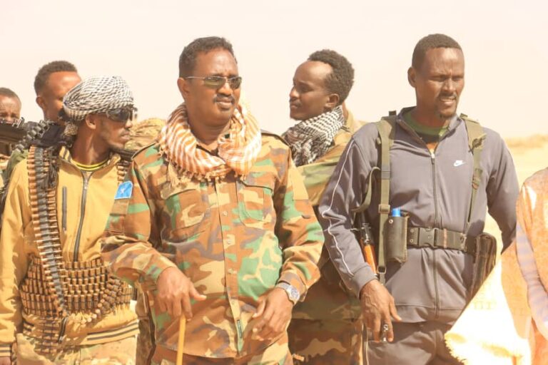 حاكم شبيلي الأوسط يسلم الماشية للقوات الحكومية في ورغادي