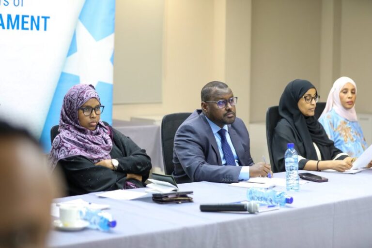 الانتخابات ركيزة الديمقراطية في الصومال