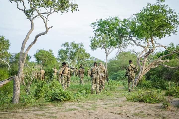 الجيش الصومالي يوجه ضربة للإرهاب الجيش الصومالي يوجه ضربة للإرهاب