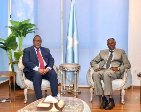 الدبلوماسية النابضة تخدم الصوماليين في القاهرة الدبلوماسية النابضة تخدم الصوماليين في القاهرة