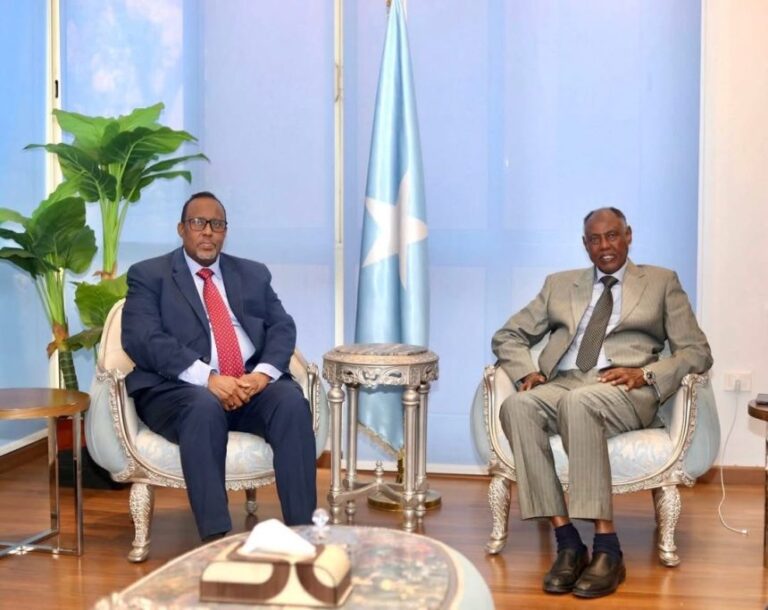 الدبلوماسية النابضة تخدم الصوماليين في القاهرة الدبلوماسية النابضة تخدم الصوماليين في القاهرة