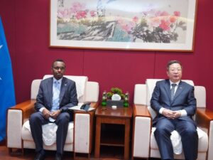 الصومال والصين شراكة تدقيقية استراتيجية الصومال والصين شراكة تدقيقية استراتيجية