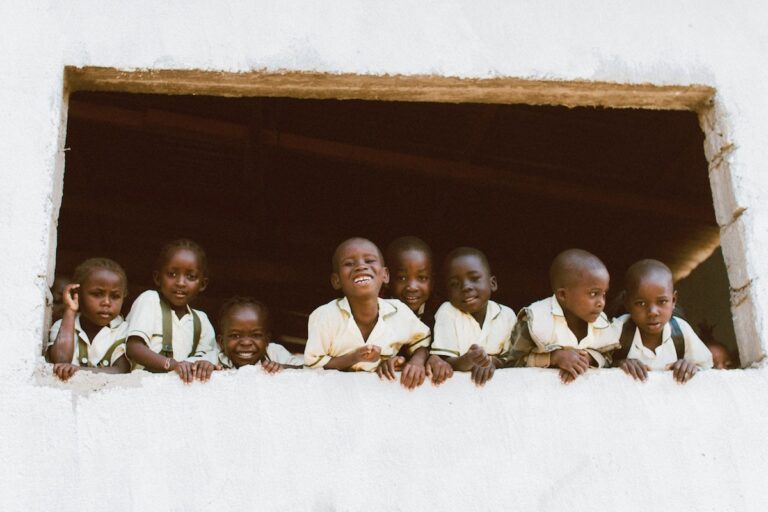 بروتوكول القضاء على انعدام الجنسية بروتوكول القضاء على انعدام الجنسية