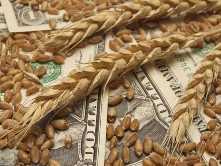 ارتفاع عالمي للحبوب