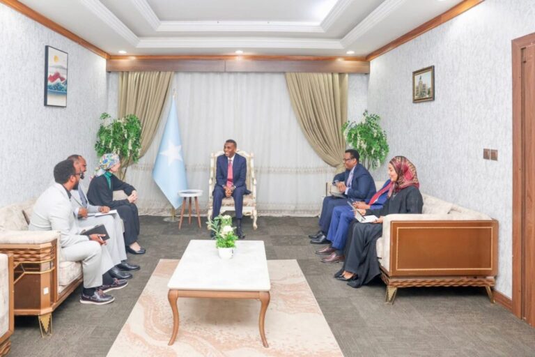 رئيس الوزراء حمزة يلتقي اليونيسف