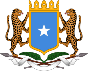 الحكومة ترفض انتخابات بيدوا