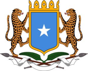 الحكومة الاتحادية تعين إدارة جديدة لمديرية واجد