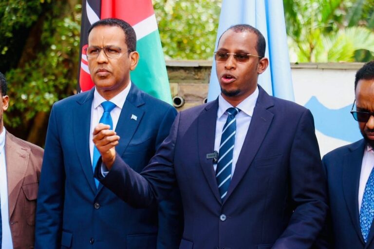 توسيع خدمات الهوية للصوماليين بالخارج