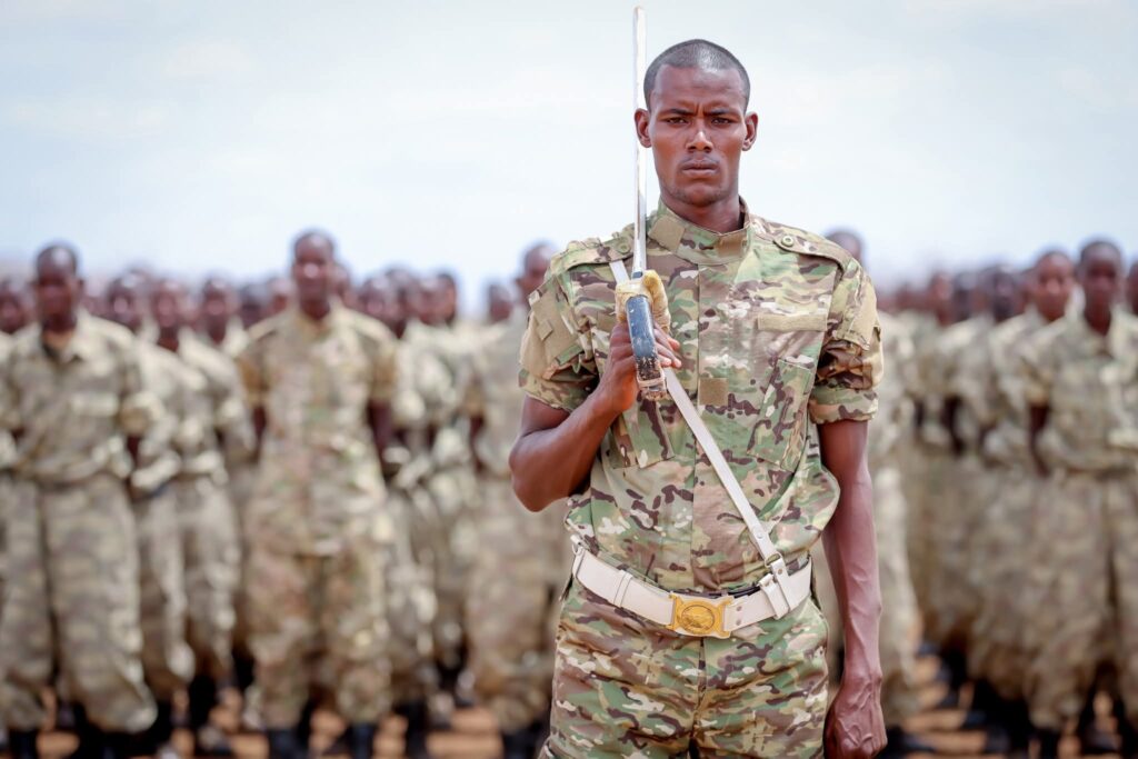 أمن مدينة بيدوا.